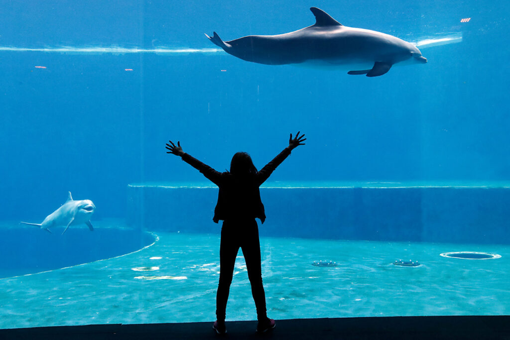 Genova e acquario